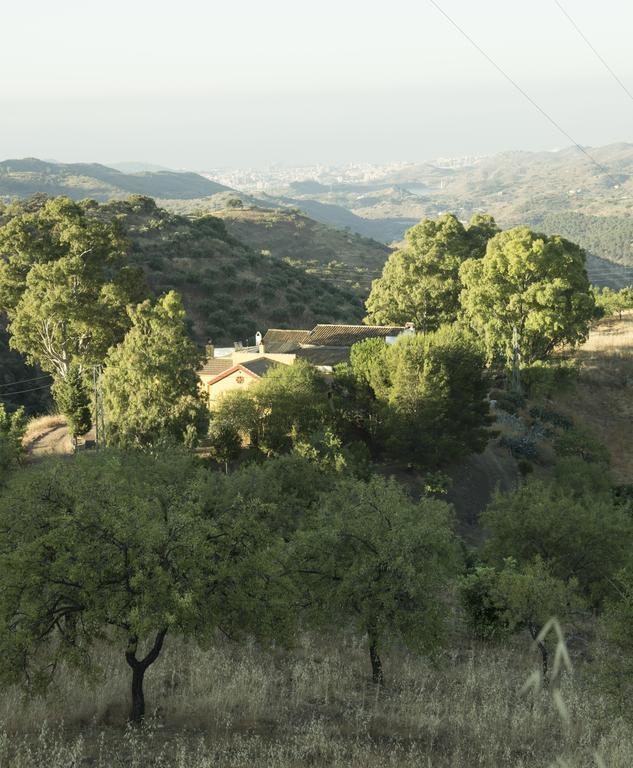 Villa Rural Montes Malaga: Lagar Don Sancho Zimmer foto